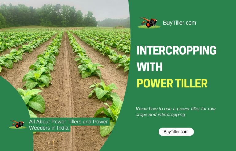 Row Crops & Intercropping with Power Tiller: Tips & Techniques