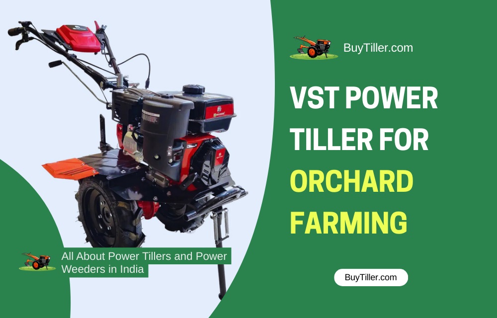 VST power tiller used for inter-cultivation in fruit orchards